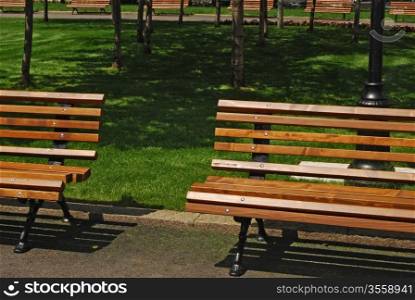 Wooden benches in city garden in sunny day close-up
