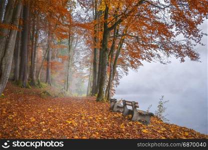Wooden benches on the shore of the Alpsee lake, surrounded by mist and forest, in autumnal colors, in Fussen, Germany.