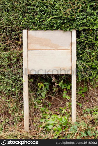 Wooden billboard without message with lots of vegetation of background