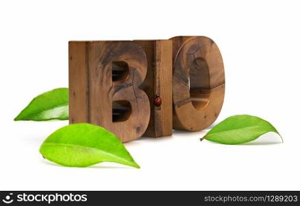 wooden bio word green leaves and ladybird over white background. bio word and green leaves