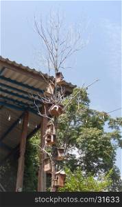 Wooden bird houses hanging on tree, stock photo