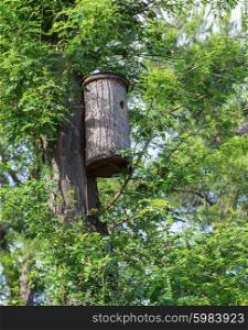 wooden birdhouse on a tree trunk in the forest