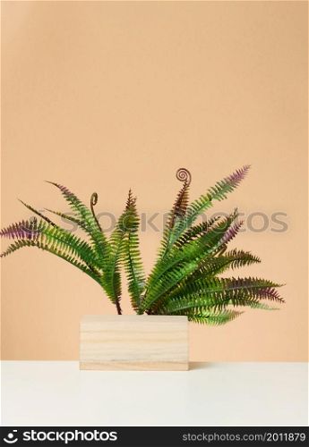 wooden block and fern branch on a beige background. Scene for demonstration of cosmetic products, advertising