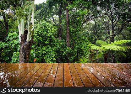 Wooden boards stretch out in perspective to the lush green forest behind. Focus is on the forest.