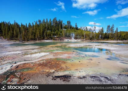 Wooden boardwalk along geyser fields in Yellowstone National Park, USA