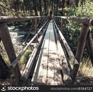 Wooden boardwalk in the forest