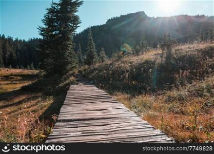Wooden boardwalk in the wild meadow in summer mountains