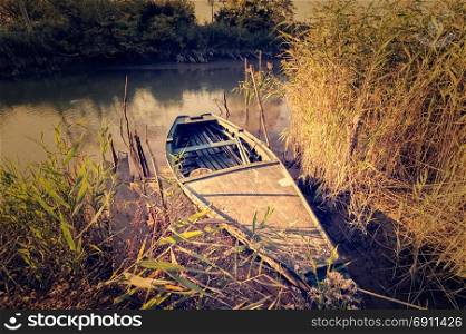 Wooden boat at the shore grown with reeds. Old fishing boat.