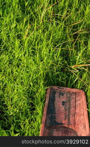 Wooden boat on green grass. Wooden boat on green grass on the floating gardens at Inle Lake Myanmar.