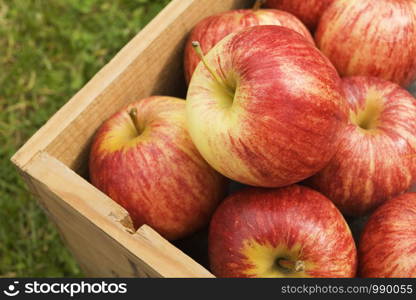 Wooden Box Of Gala Apples