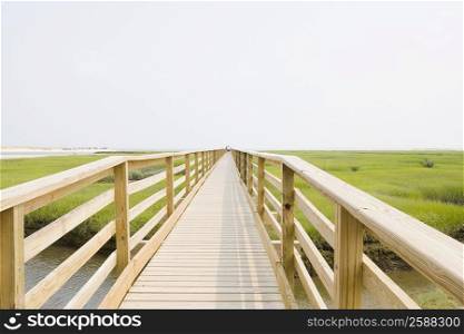 Wooden bridge across a lake