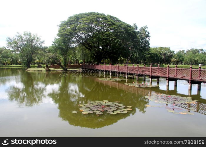 Wooden bridge and big tree in Sukhotai, Thailand