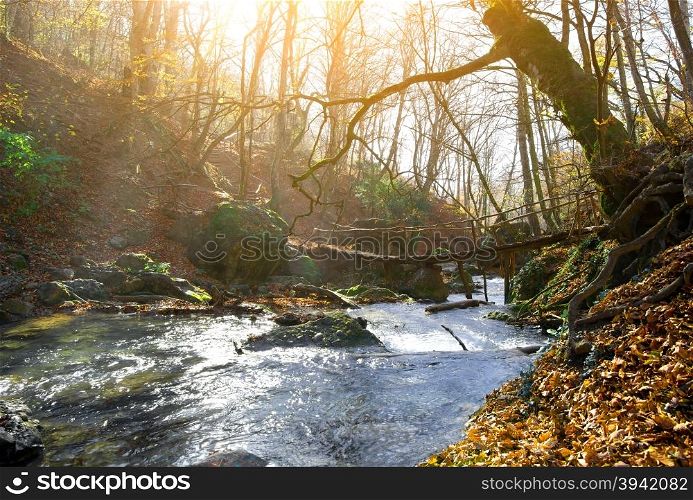 Wooden bridge and mountain river in autumn