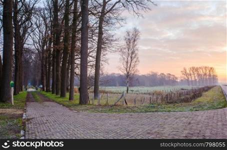 Wooden bridge and pad to the forest in the Netherlands, nature concept. Wooden bridge and pad to the forest in the Netherlands,