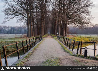 Wooden bridge and pad to the forest in the Netherlands, with a calm river concept. Wooden bridge and pad to the forest in the Netherlands, with a calm river