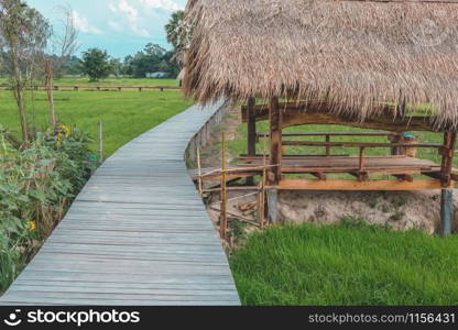 wooden bridge footbridge walkway pathway along rice paddy field in Thailand