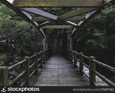 Wooden bridge in a forest of Jeju island. South Korea