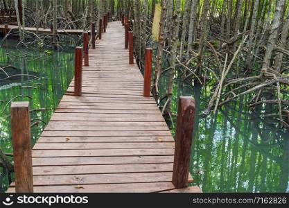 wooden bridge in a mangrove forest at Tung Prong Thong, Rayong province, Thailand