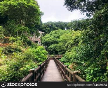 Wooden bridge in a mountain forest of Jeju island. South Korea.. Wooden bridge in a mountain forest of Jeju island. South Korea