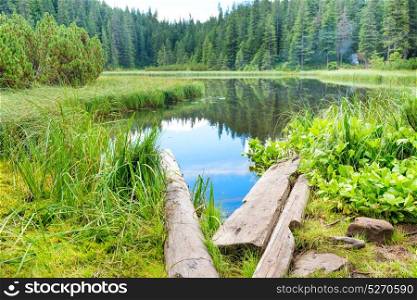 Wooden bridge in blue water at a forest lake with pine trees