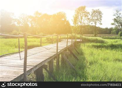 Wooden bridge in forest, natural vintage background with sunlight