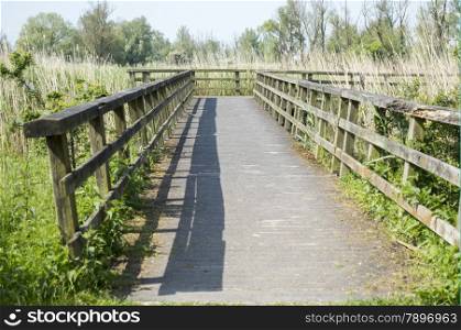 wooden bridge in nature park holland