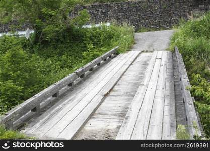 Wooden bridge in park landscape