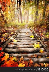 Wooden bridge in the bright autumn forest