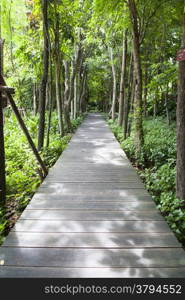 Wooden bridge in the park There are trees on both sides of the trees in the garden.