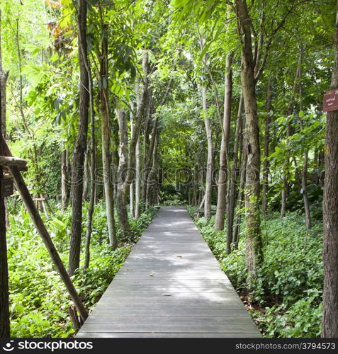 Wooden bridge in the park There are trees on both sides of the trees in the garden.