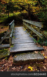 wooden bridge in the portuguese national park