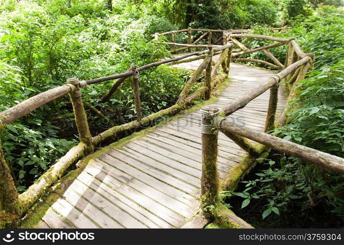 Wooden bridge made ??from old wooden bridge. Side of the bridge is covered with dense trees.