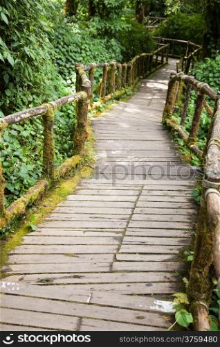 Wooden bridge made ??from old wooden bridge. Side of the bridge is covered with dense trees.