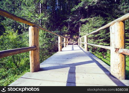 wooden bridge on the tourist trail. walk in the mountains