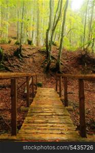 Wooden bridge over mountain river in autumnal forest