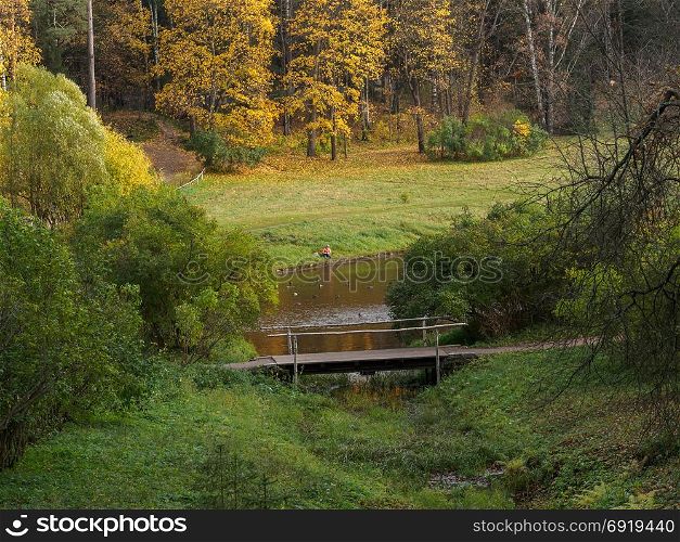 Wooden bridge over river and autumn forest on background