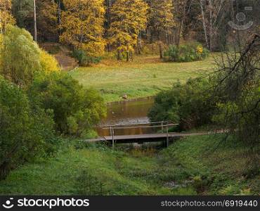 Wooden bridge over river and autumn forest on background