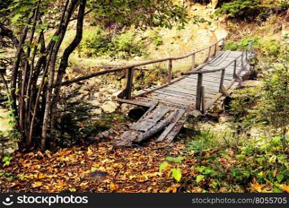 Wooden bridge over stream in the autumn forest. Wooden bridge over stream