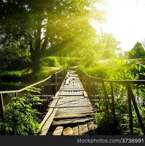 Wooden bridge over the river in the forest