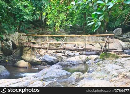 wooden bridge over the stream in the forest