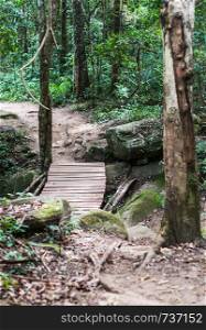 Wooden bridge path in forest closeup