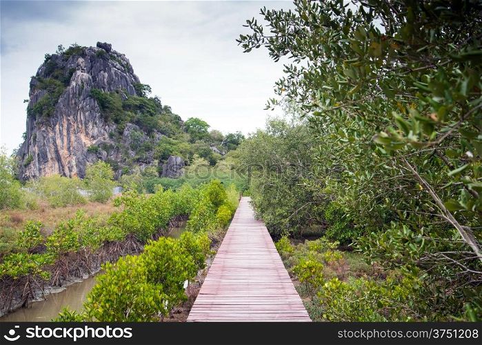 Wooden bridge through the mangrove reforestation