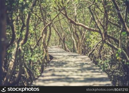 Wooden bridge through the mangrove reforestation (Vintage filter effect used)