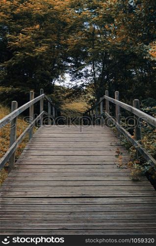 wooden bridge with brown trees in the mountain, autumn colors in the nature