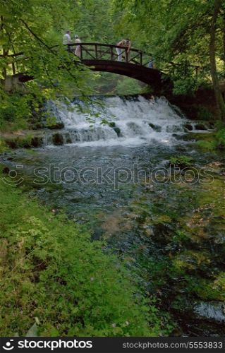 wooden bring over small waterfall