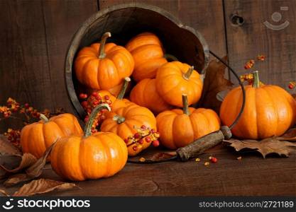 Wooden bucket filled with tiny pumpkins
