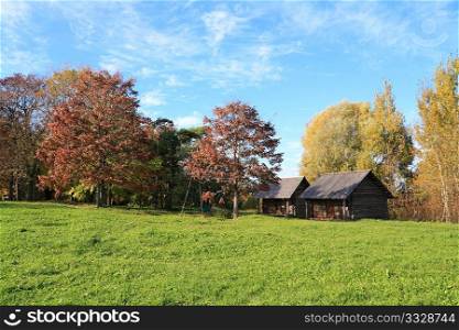 wooden buildings amongst autumn tree