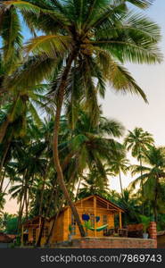 wooden bungalow among tropical coconut palms