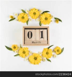 wooden calendar showing 1st march decorated with chamomile chrysanthemum flowers against white backdrop