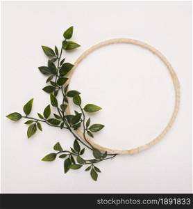 wooden circle frame with green artificial leaves white backdrop. Resolution and high quality beautiful photo. wooden circle frame with green artificial leaves white backdrop. High quality and resolution beautiful photo concept